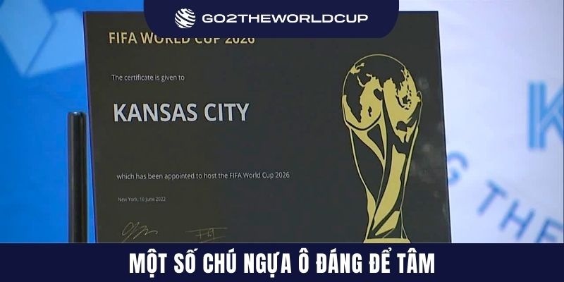 Một số chú ngựa ô đáng để tâm