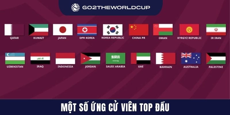 Một số ứng cử viên top đầu
