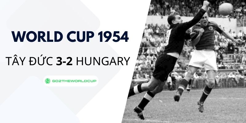 Những đội tuyển gây sốc nhất lịch sử World Cup