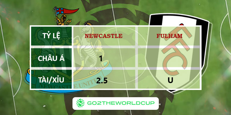 Soi kèo Fulham vs Newcastle