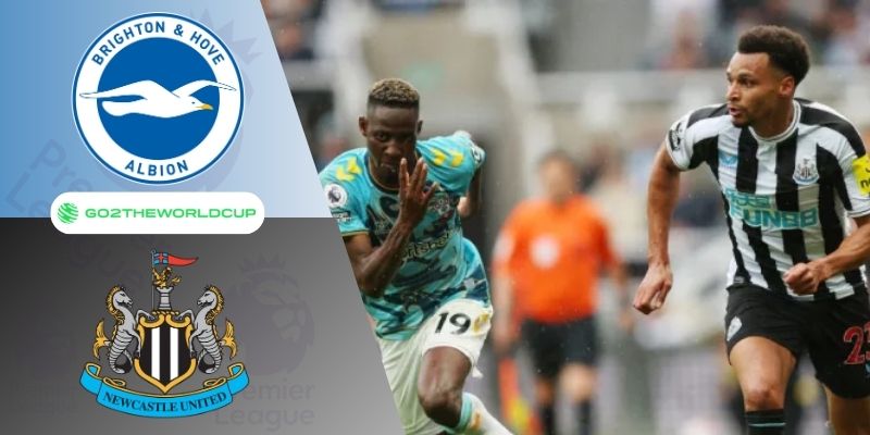 Soi kèo Brighton vs Newcastle