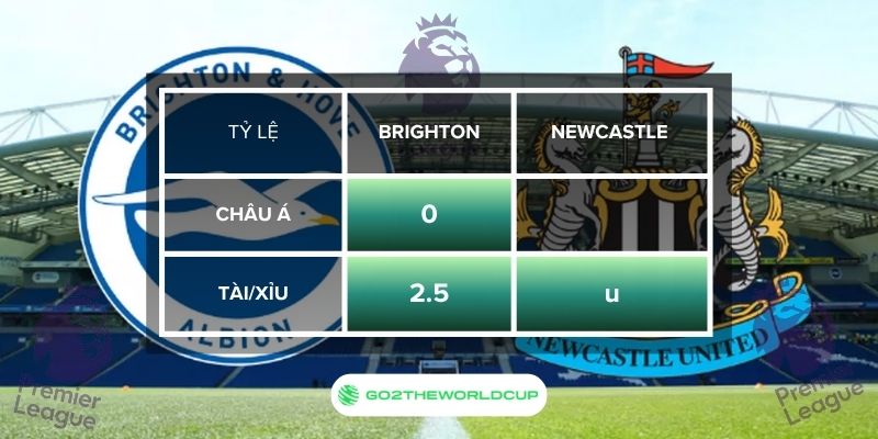 Soi kèo Brighton vs Newcastle